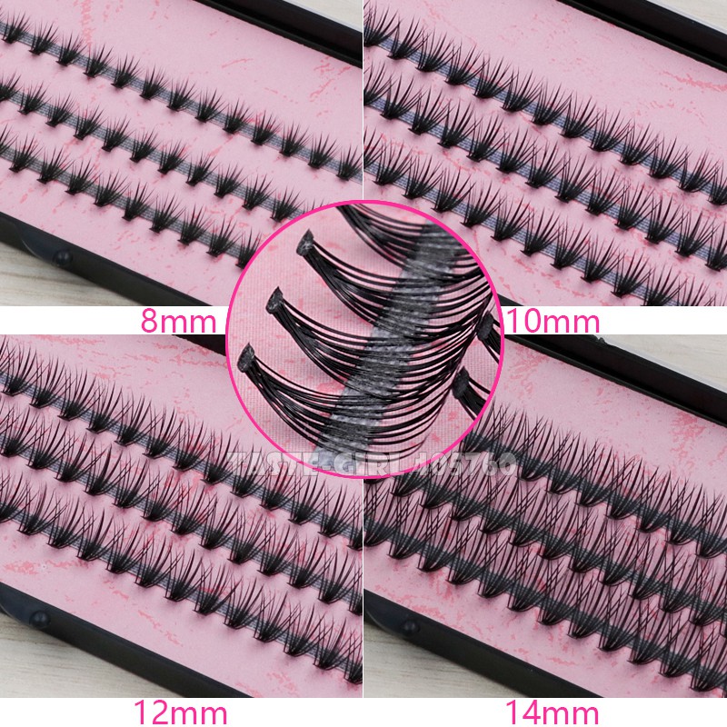 Eyelash Extension Or Extensions - 30 vassoi 57 nodi 20 peli