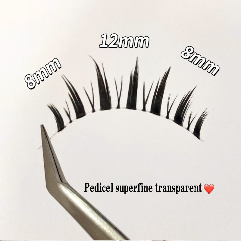 Nuovo stile 5 paia donne trucc - Eyelash Extension Japanese Style recensione e prezzo